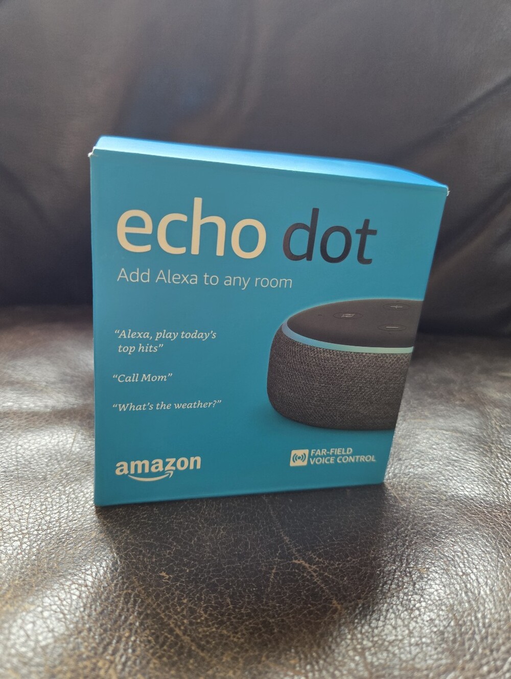 Echo Dot Erd Edition